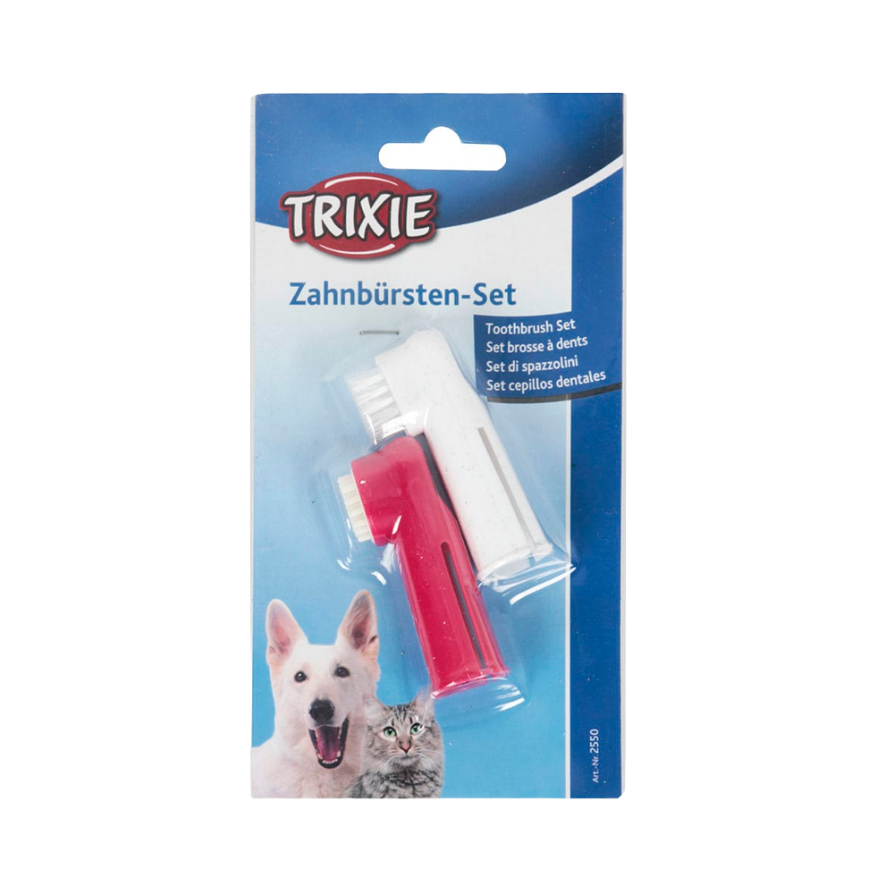 SET CEPILLO DIENTES 2550